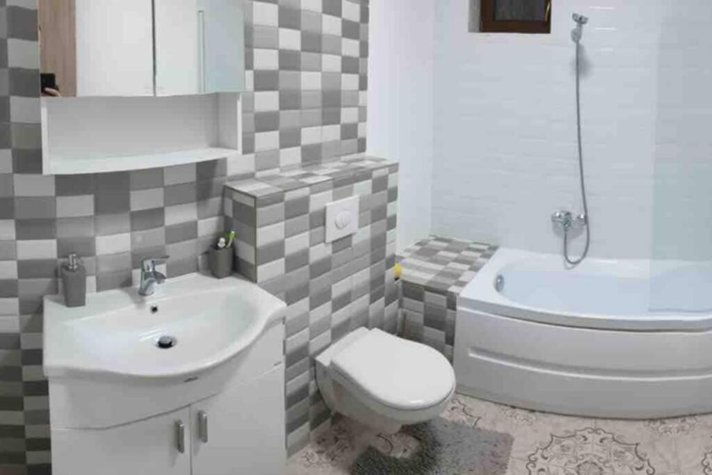 Casa Andreea. Cheerful 4-Bedroom Villa Bod エクステリア 写真
