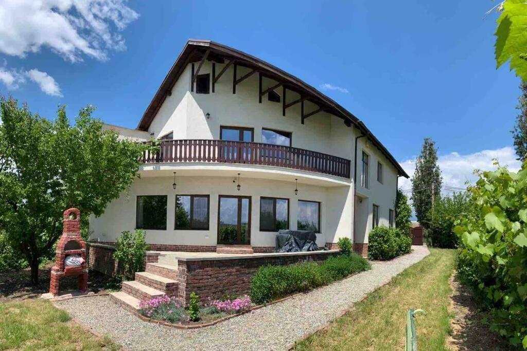 Casa Andreea. Cheerful 4-Bedroom Villa Bod エクステリア 写真