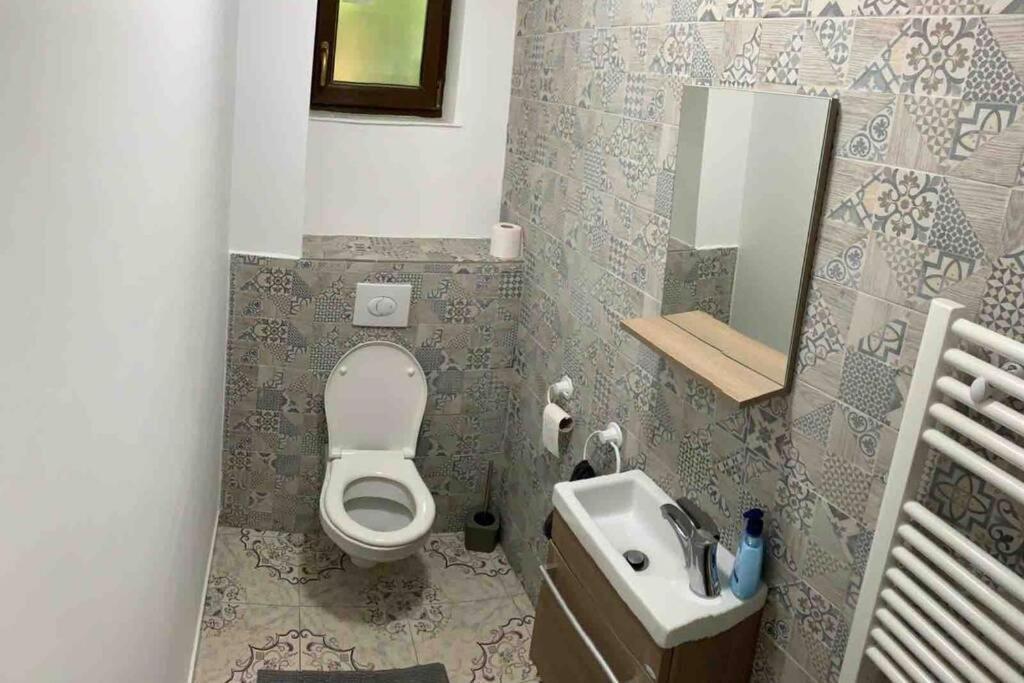 Casa Andreea. Cheerful 4-Bedroom Villa Bod エクステリア 写真